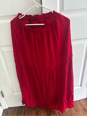 Zara Maxi Skirt